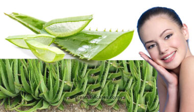 How to Use Aloe Vera on the Face