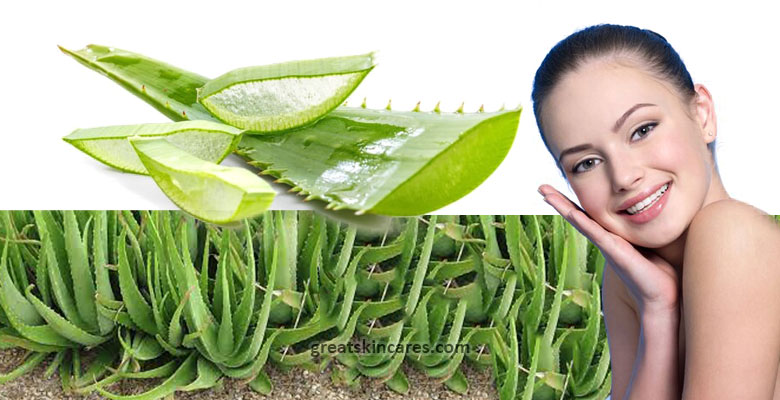 How to Use Aloe Vera on the Face